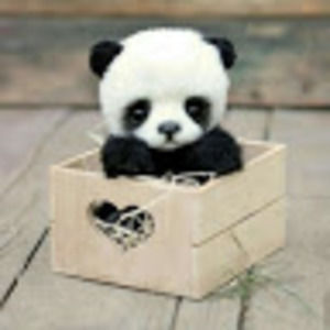 Meet your Posher, Etana